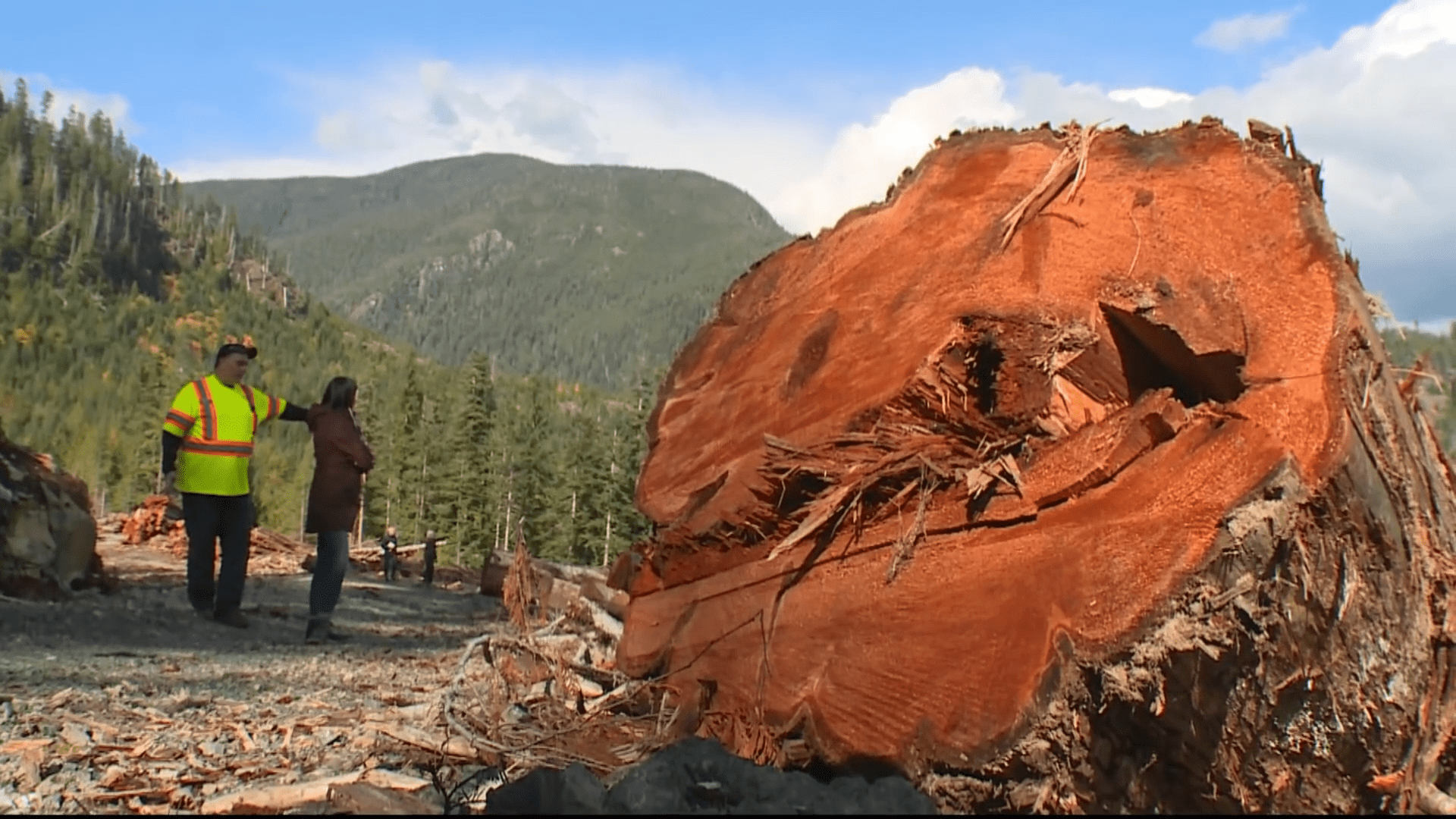 Fighting to protect B.C.’s ancient forests.mp4.00_03_08_12.Still006