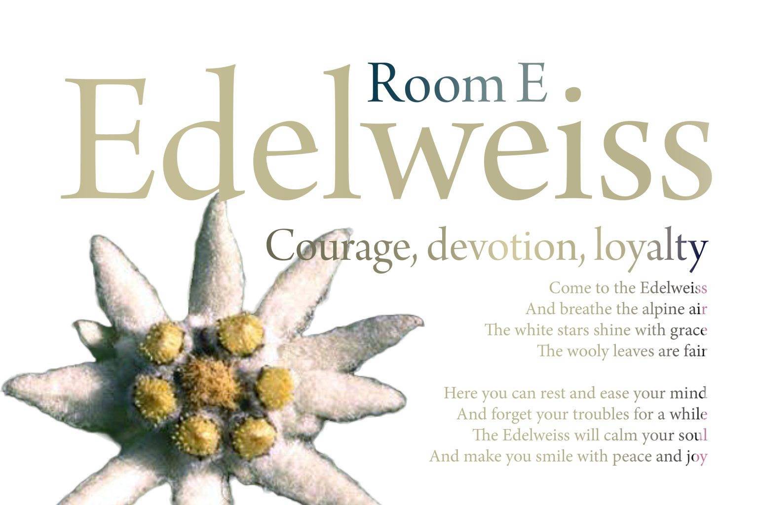 2023.03.18 [41G] SPACE NAMES Φ HI26