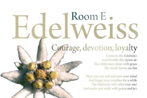 2023.08.06 [Φ] NAMES 