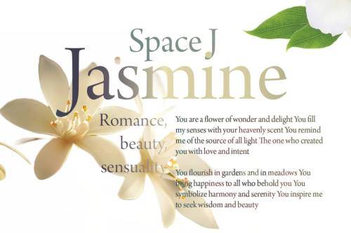 2023.08.06 [Φ] NAMES 