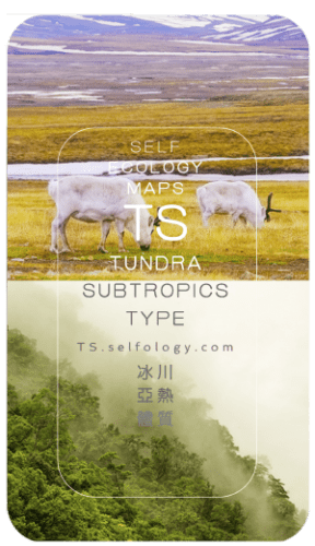 0794D090-8C97-2989-9D4D-40AC7249D9A5